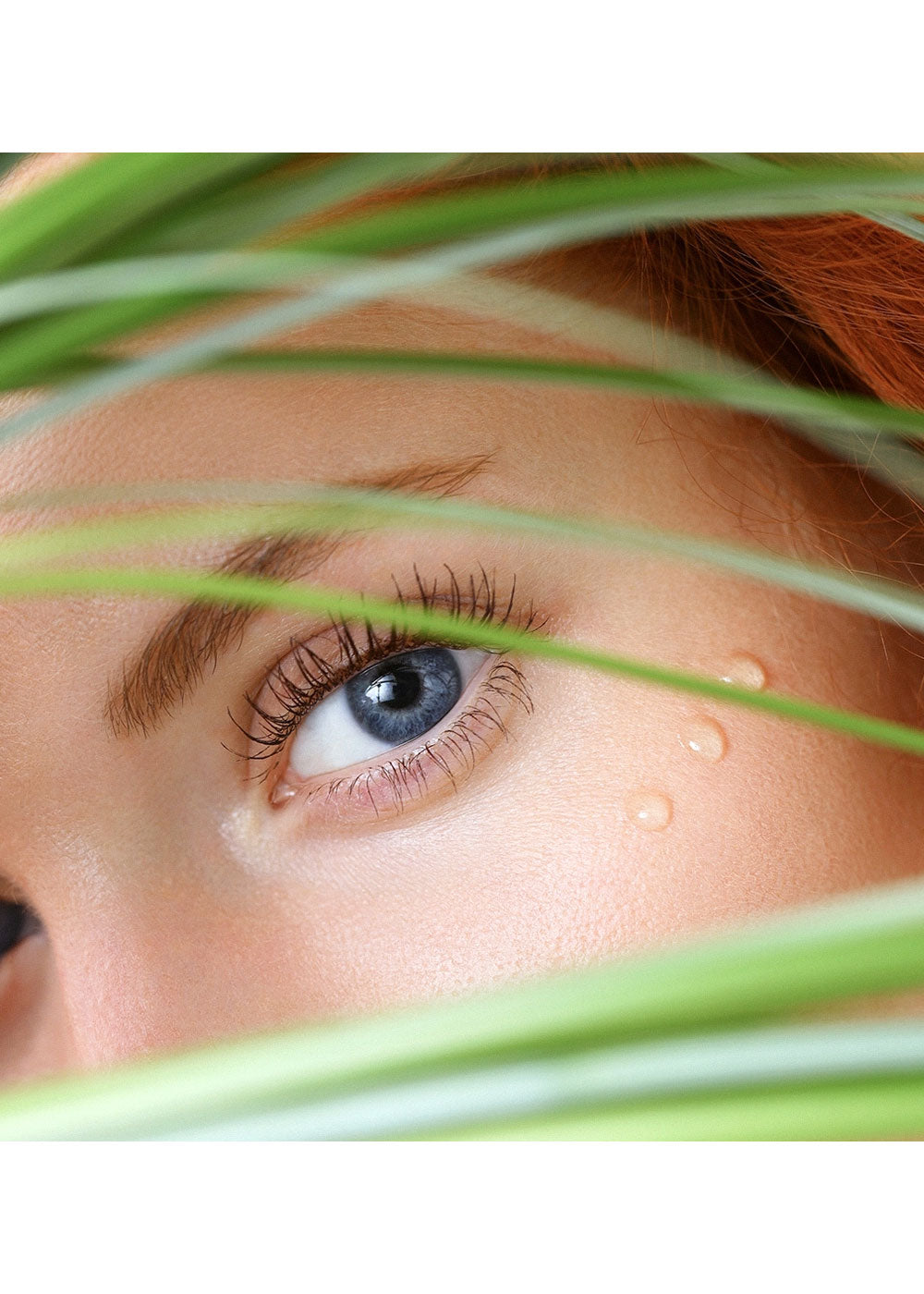 BELWEDER Lidschattenextrakt & Eyeseryl Lifting Serum Augenkontur